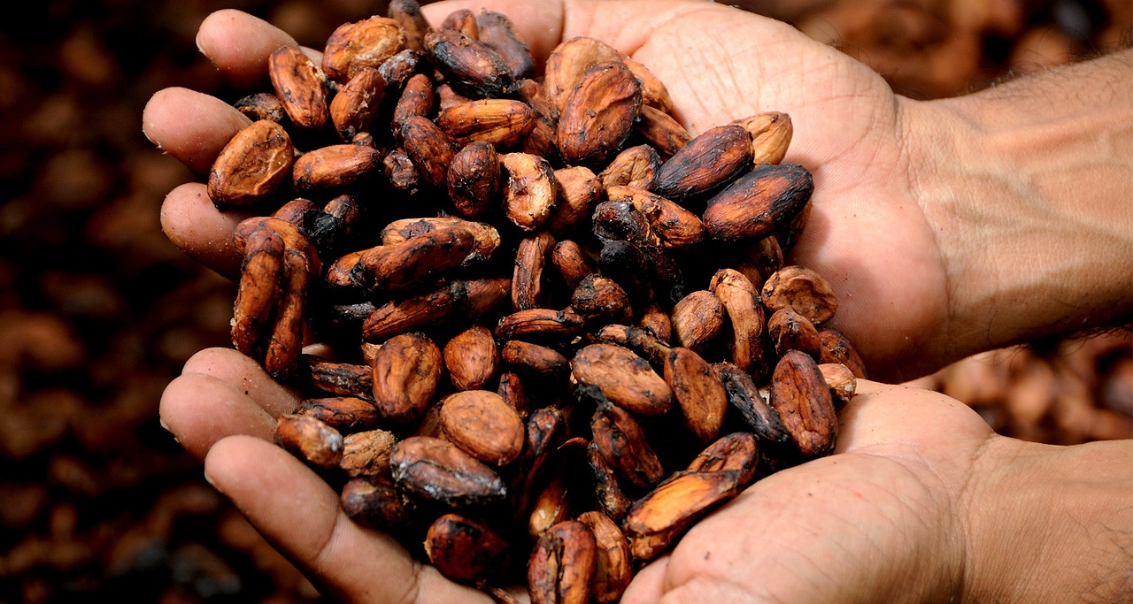 Cocoa prices dip as dollar strengthens