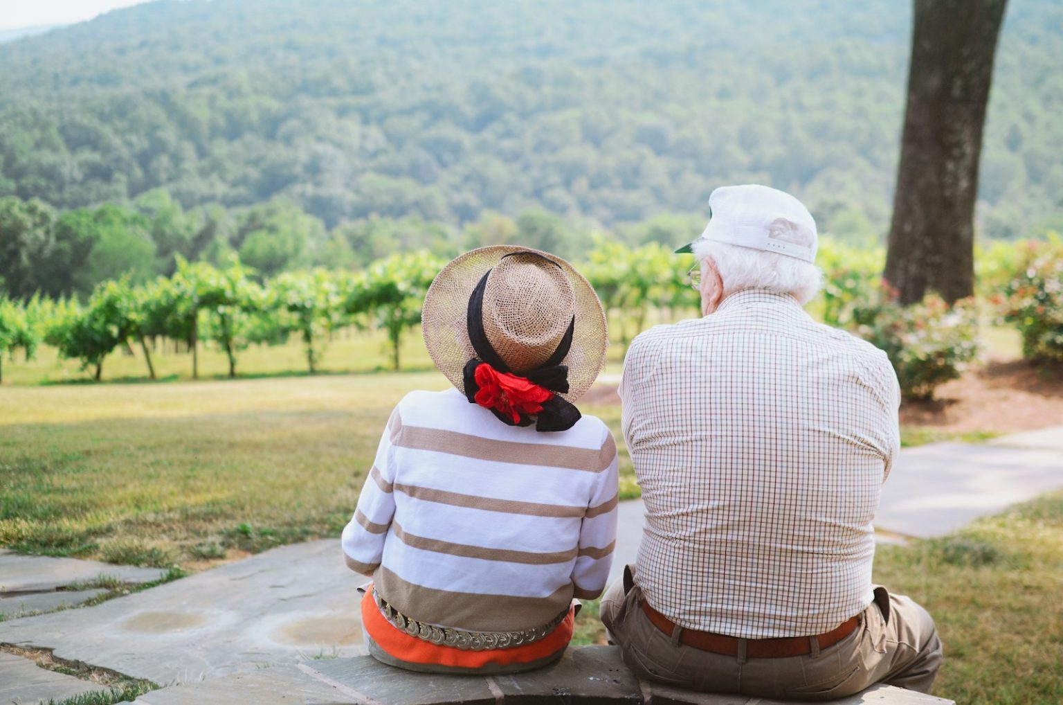 High-income seniors