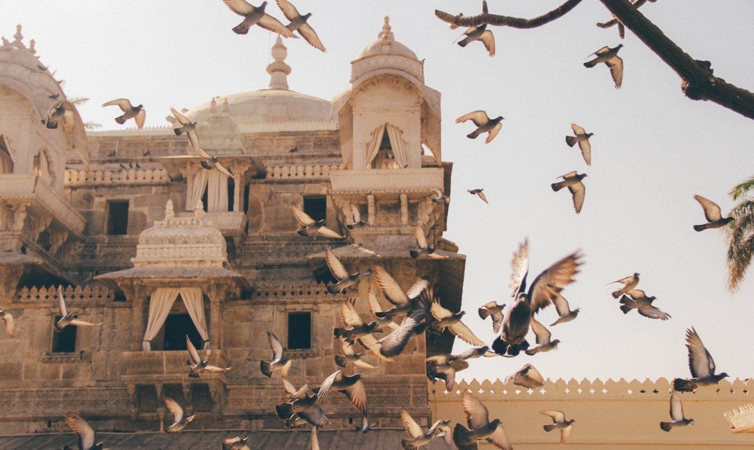 Entrepreneur India