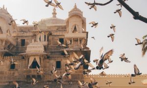Entrepreneur India