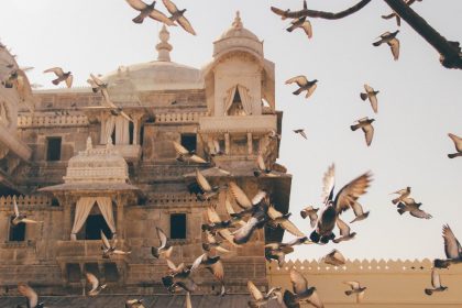 Entrepreneur India