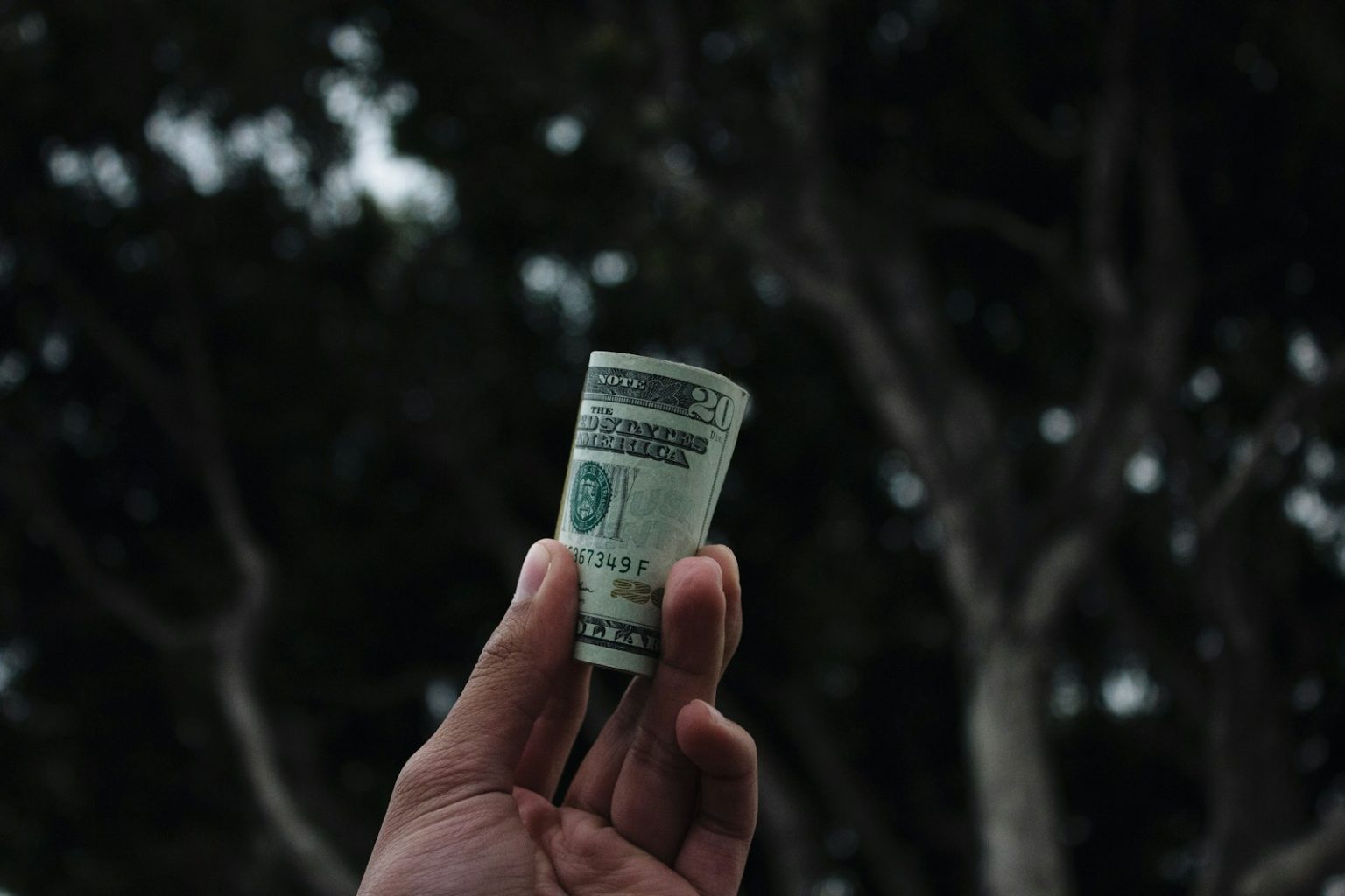 Ivory funding
