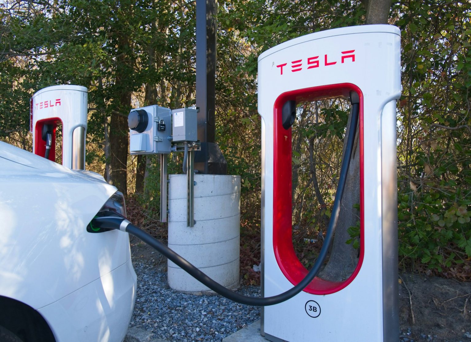 Musk's Claim