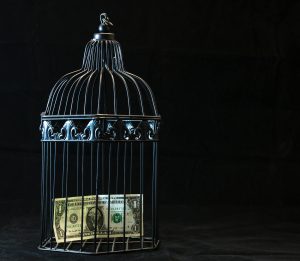 Financial Literacy