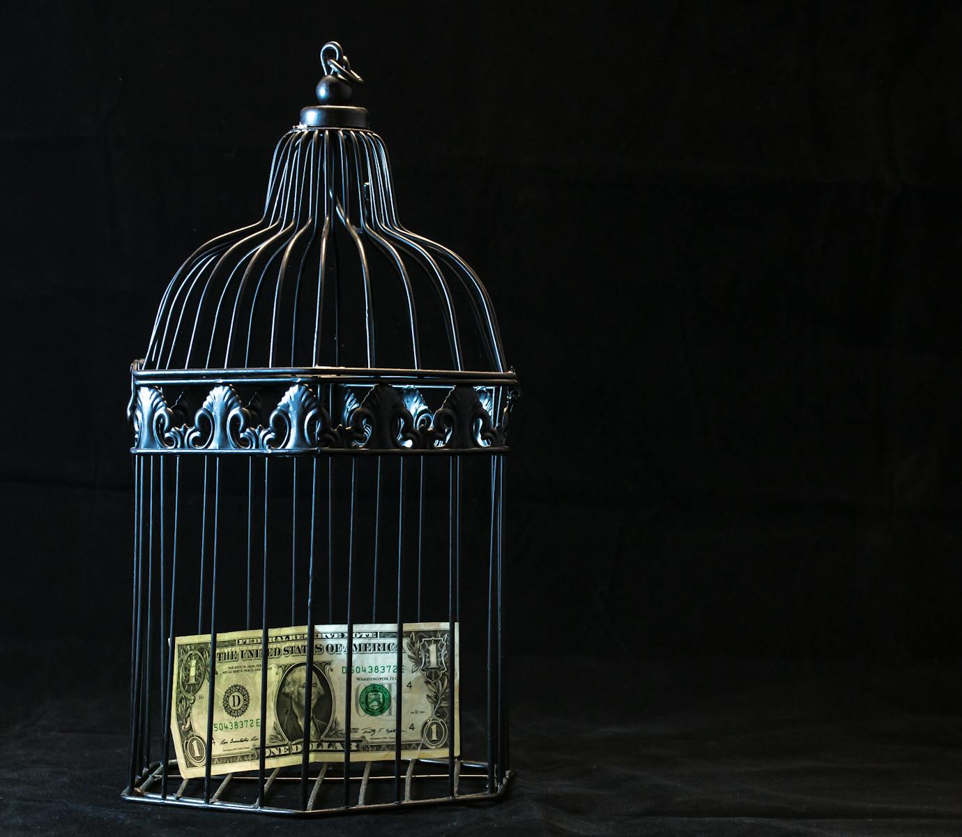 Financial Literacy