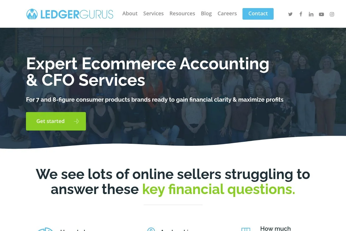 Screenshot of LedgerGurus homepage