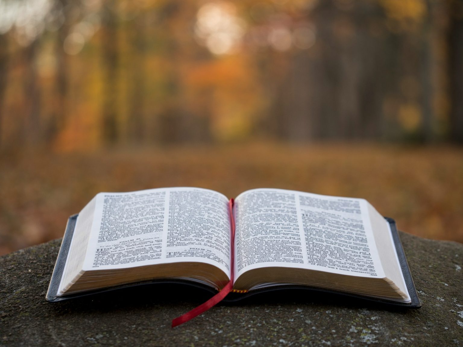 Why Building Your Business God's Way Isn't Just About Money