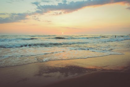 Beach Life Offers More Than Just Sand and Waves