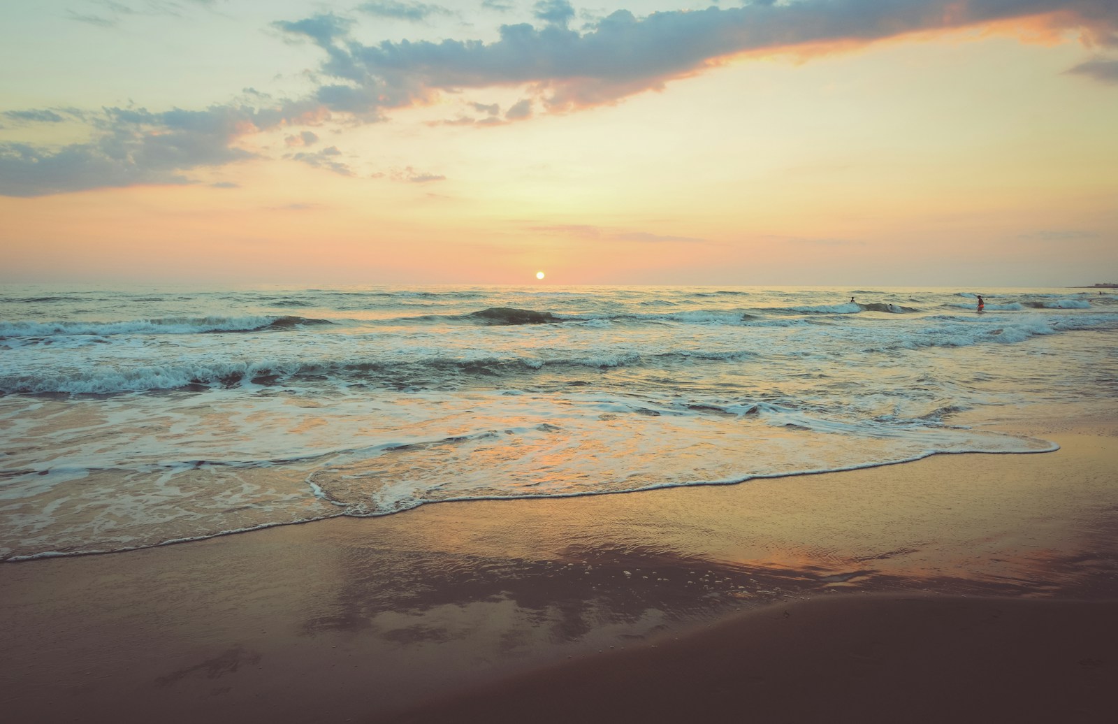 Beach Life Offers More Than Just Sand and Waves