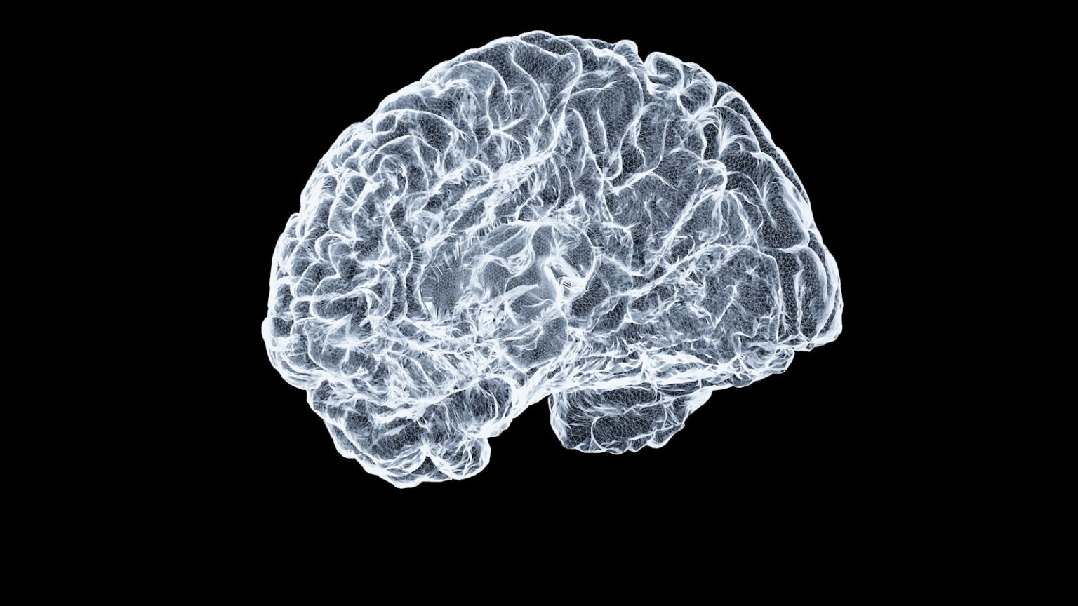 Your Brain's Hidden Superpower: Remapping Reality