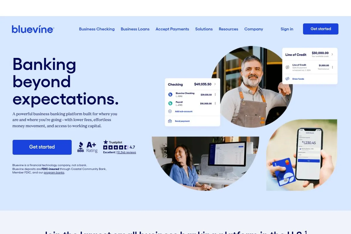 Screenshot of Bluevine homepage