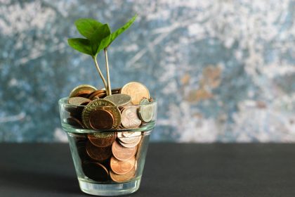 green plant in clear glass vase; backdoor roth ira