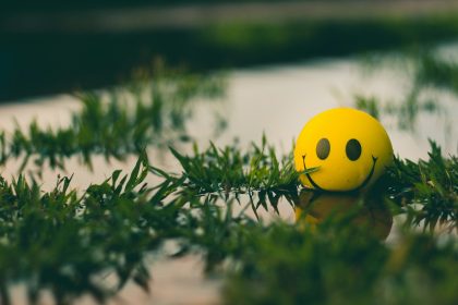 a yellow ball with a smiley face sitting in the grass; NFIB optimism index April 2026