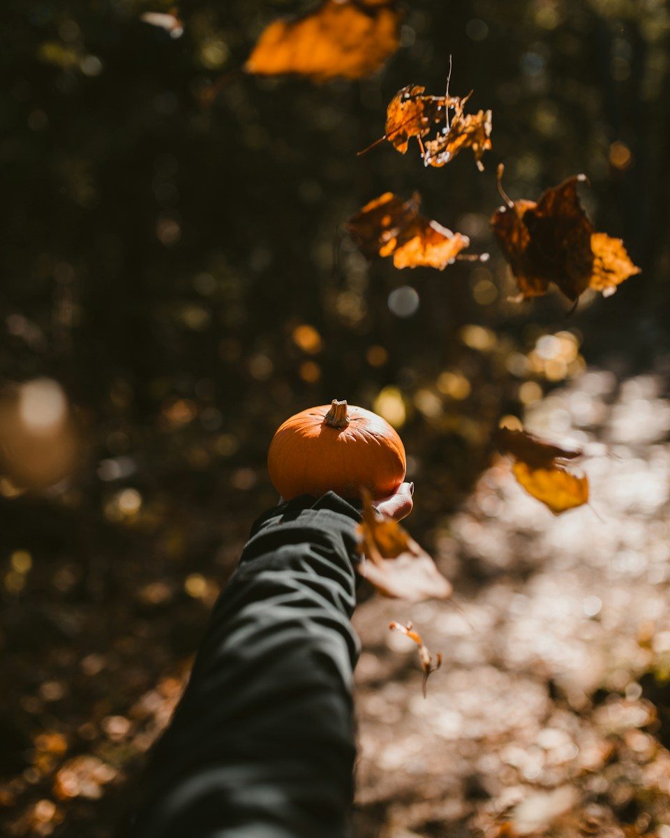person holding orange pumpkin; ThriveCart fall 2026 release